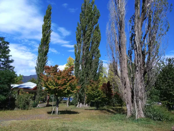 Oike Park 사진 2
