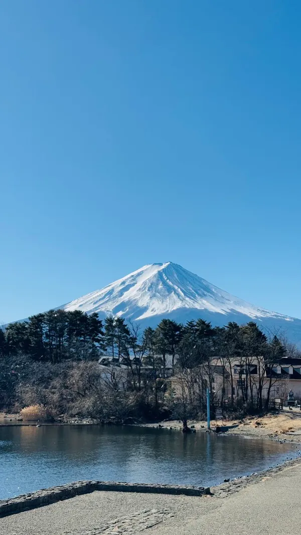 Oike Park 사진 5