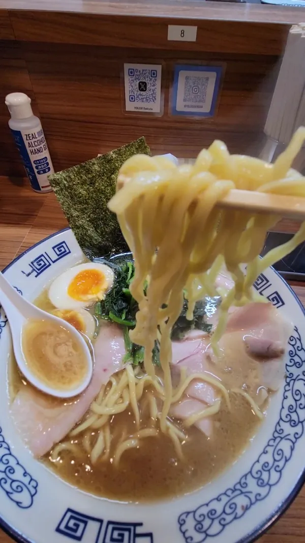 Yokohama Tonkotsu Soy Sauce Ramen YOLO 사진 2