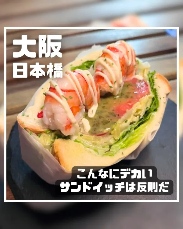 데카산 사진 2