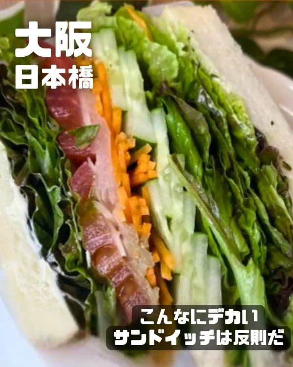 데카산 사진 3