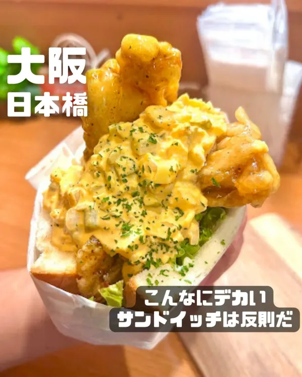 데카산 사진 4