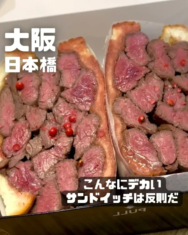 데카산 사진 5