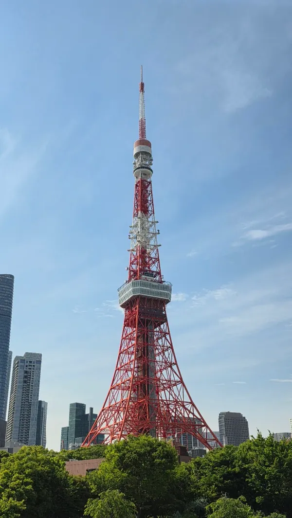 芝公園の写真4
