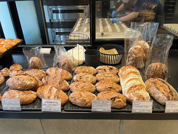 빵야 콘죠 사진 3