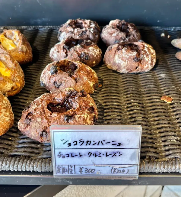 빵야 콘죠 사진 4