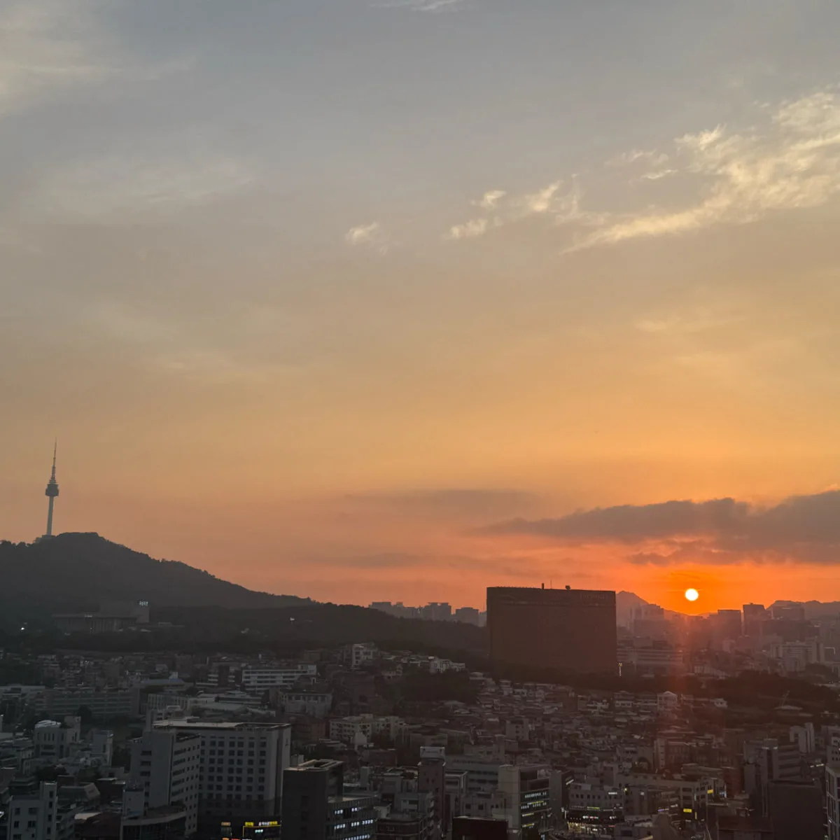 엉털네숯불꼼장어 목동점