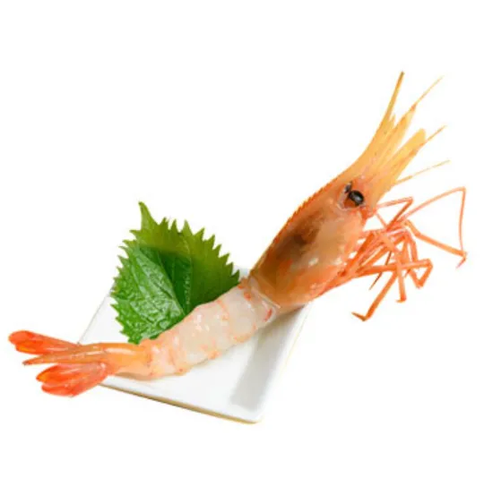 돈베이 사진 5