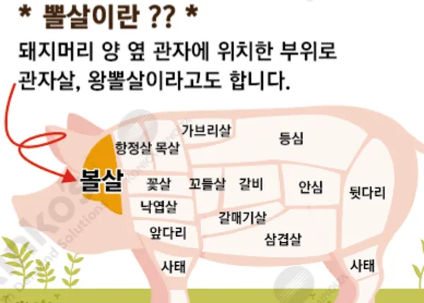 통통돼지뽈살 홍대본점 사진 5