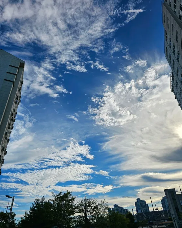 옛날손수제비 사진 4
