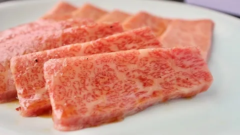 야마쇼 사진 3