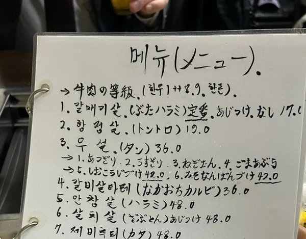 부일갈매기 사진 2