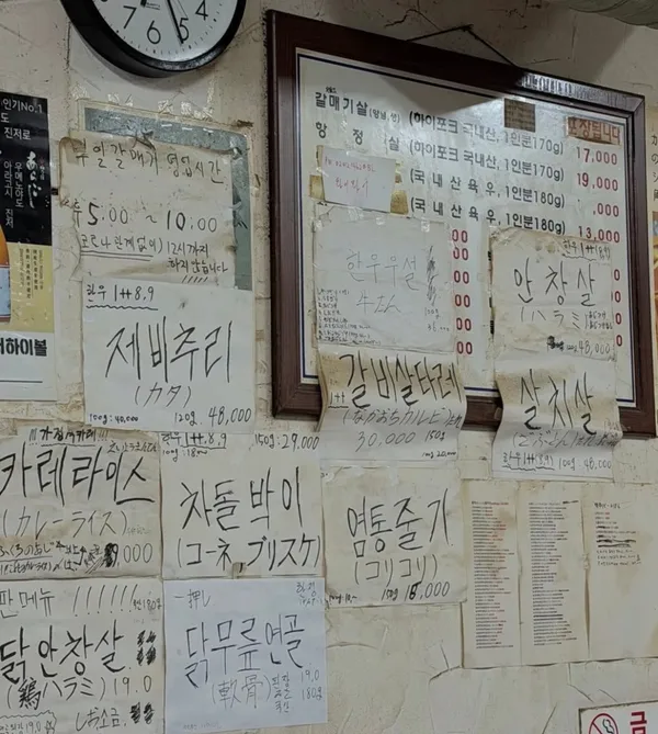 부일갈매기 사진 3