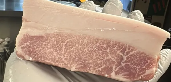 브네 사진 2
