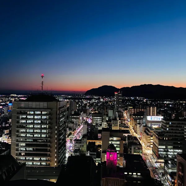 Observation Platform 21st Floor of the Prefectural Office 사진 5