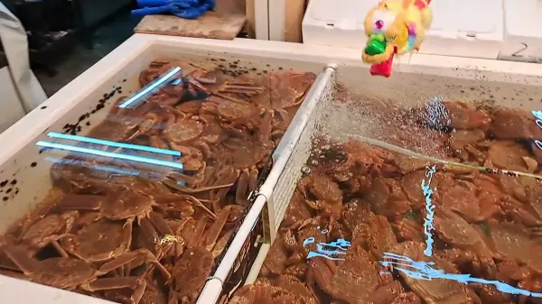 삼각시장 사진 3