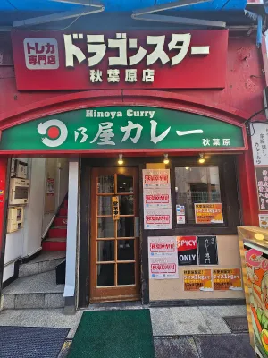 Hinoya Curry Akihabara