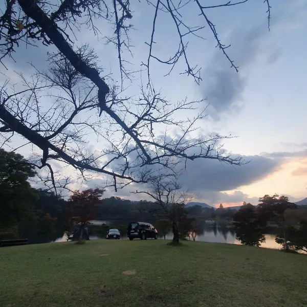 志高湖の写真3