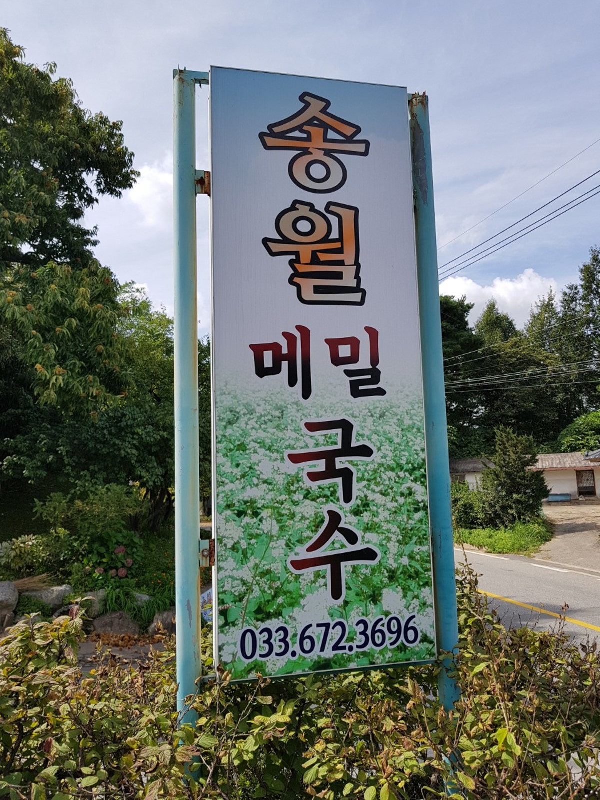 송월메밀국수 사진 4