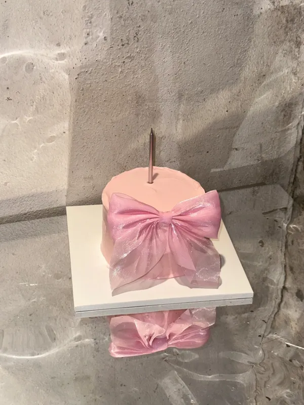 방글 사진 4