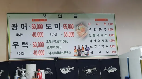 새만금 사진 4