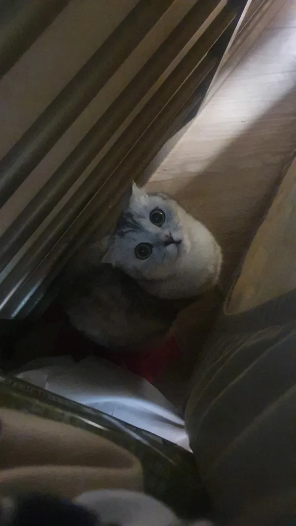 옥토끼제면소 사진 2