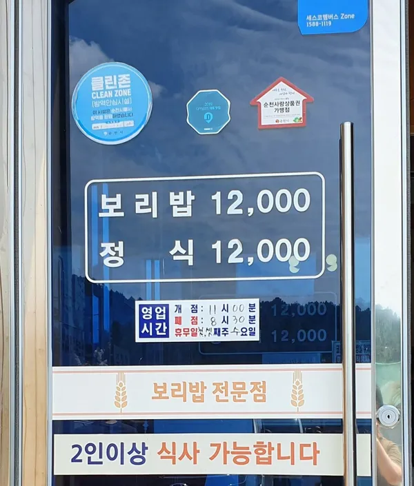 벽오동 사진 5