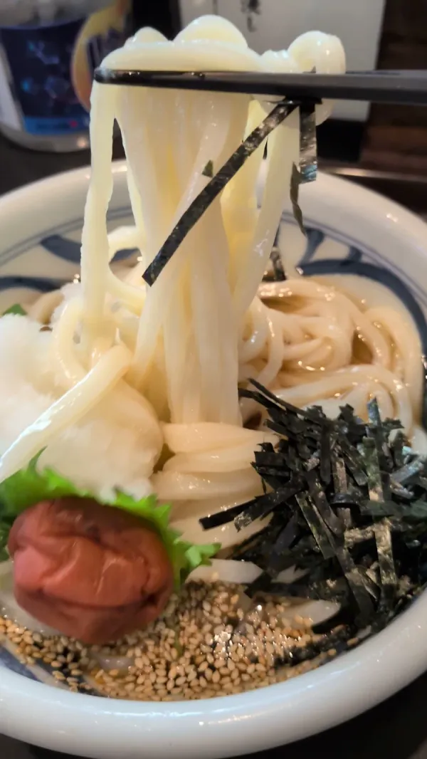 Teuchi Udon Sumita 사진 2