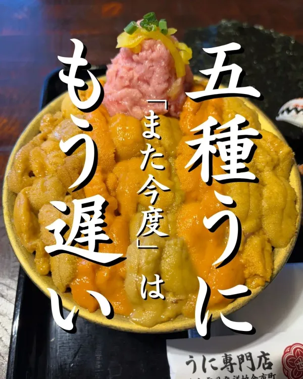 성게전문점 요이치야 사진 5