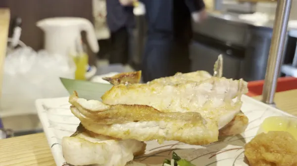 사카나야히데조 사진 2