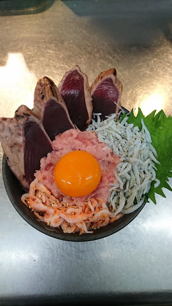 놋케야 사진 4