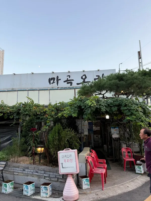 마곡오리 사진 5