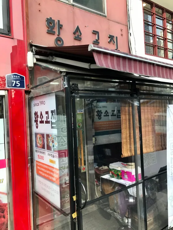 황소고집