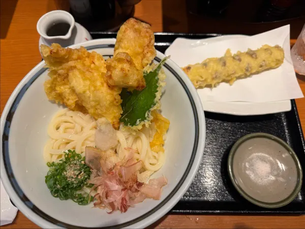 Tezukurin Udon Tenkomori 사진 3