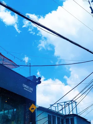더백푸드트럭