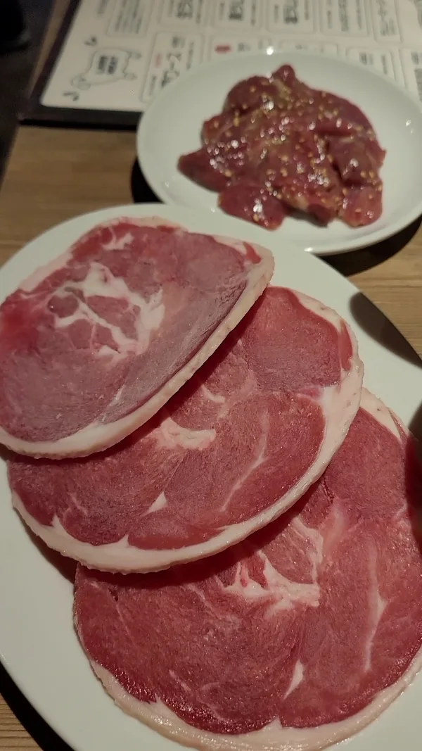 후지야마 사진 2