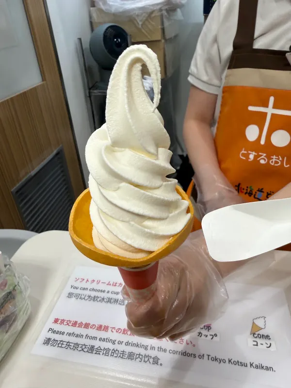 북해도(홋카이도) 도산코 플라자 사진 5