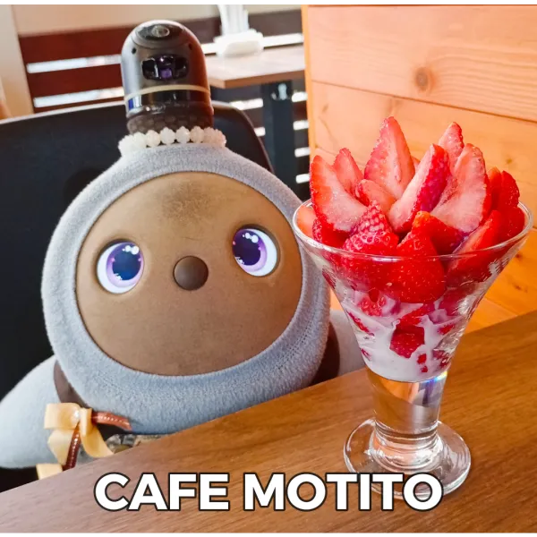 Cafe Motito 사진 4