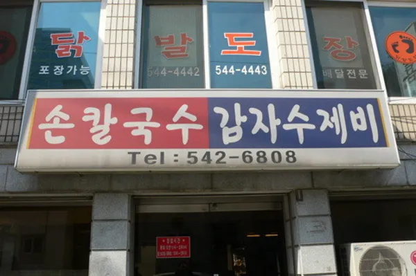 손국시