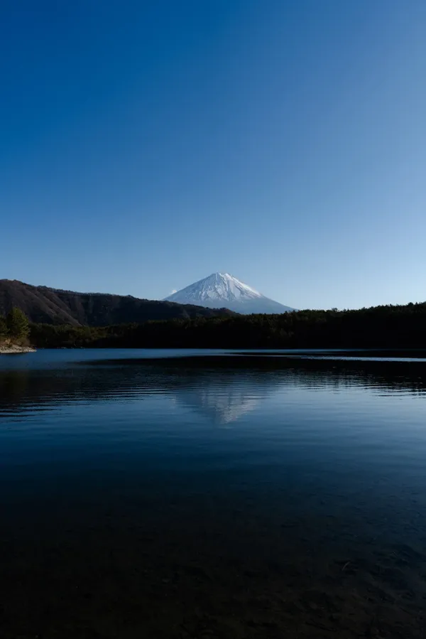 西湖根場浜
