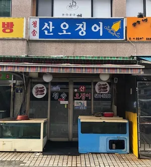 청송산오징어