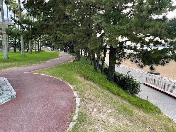 시사이드 모모치 해변공원 사진 5