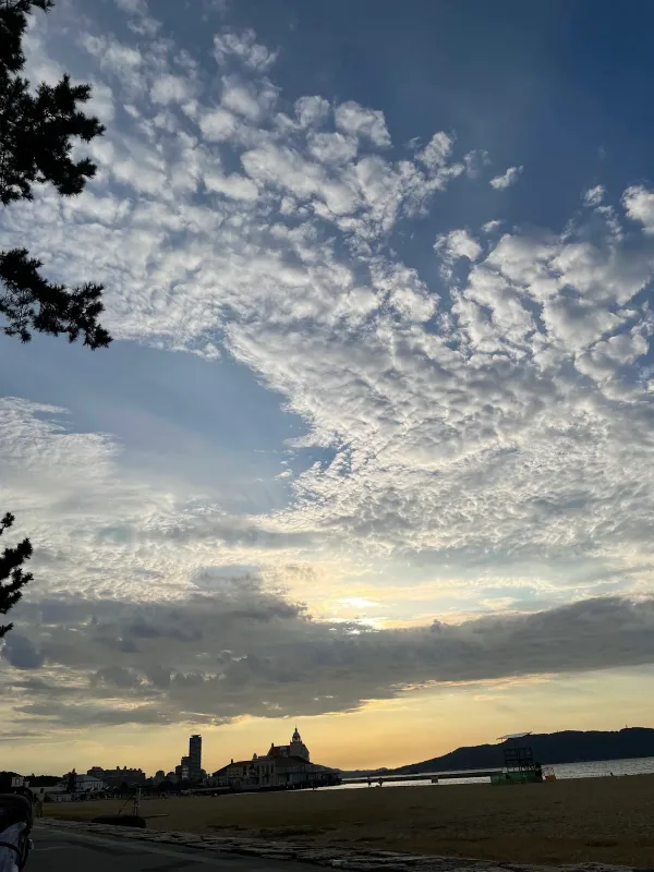 シーサイドももち海浜公園の写真4