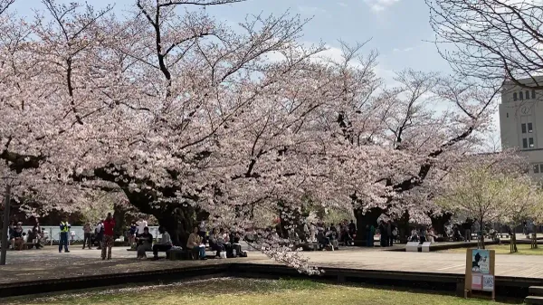 Tokyo Institute of Technology 사진 3