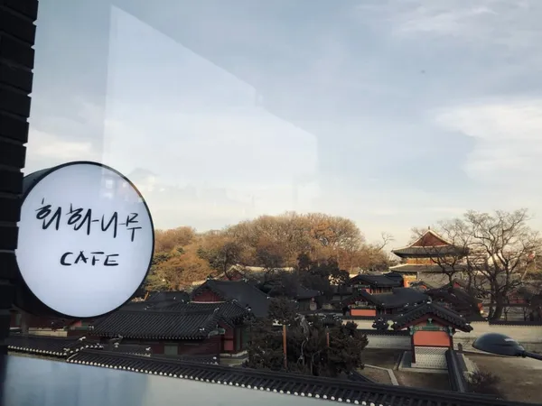 회화나무