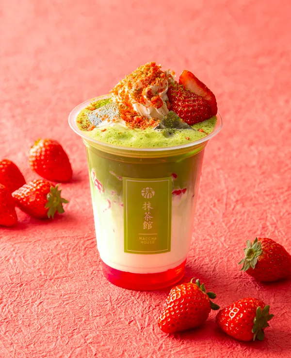 MACCHA HOUSE 抹茶館 京都祇園四条 사진 5