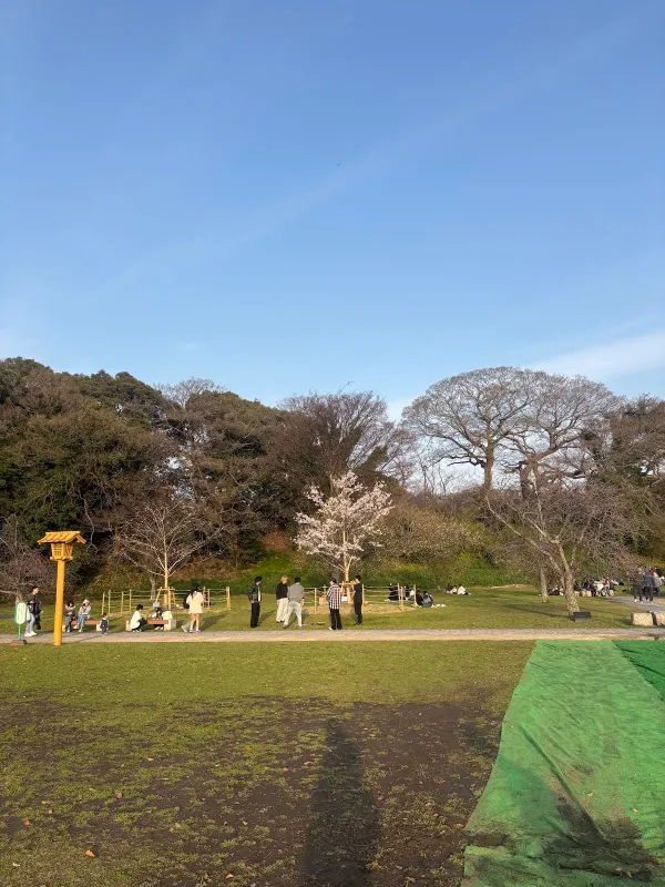 舞鶴公園 三ノ丸広場の写真5