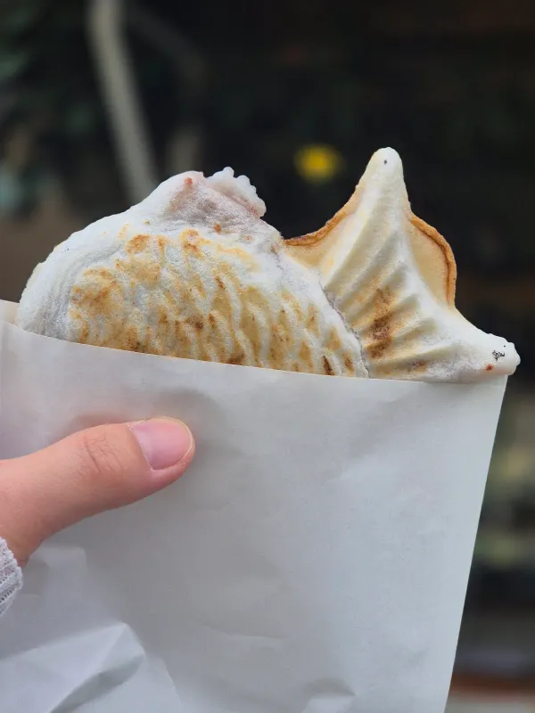롯폰폰 사진 5
