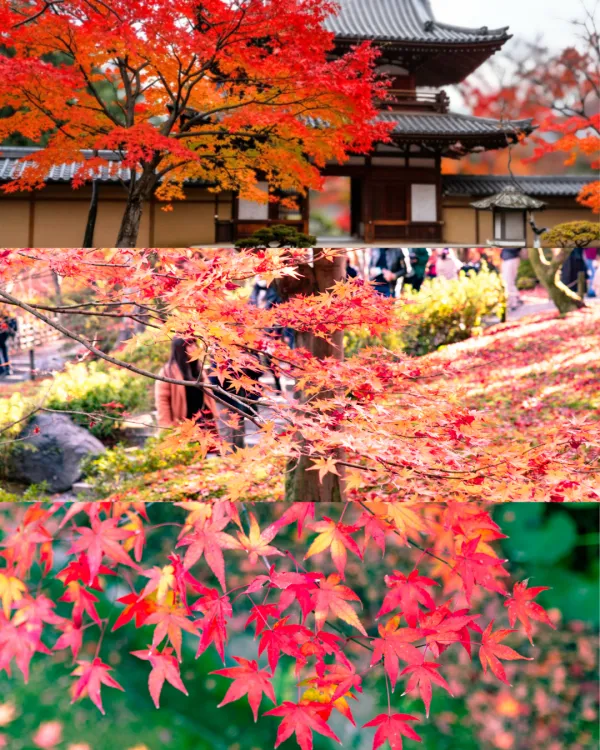 Park Hotel Kyoto 사진 2