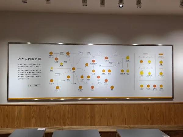 이마바리 마츠야마 오조오카점 사진 4